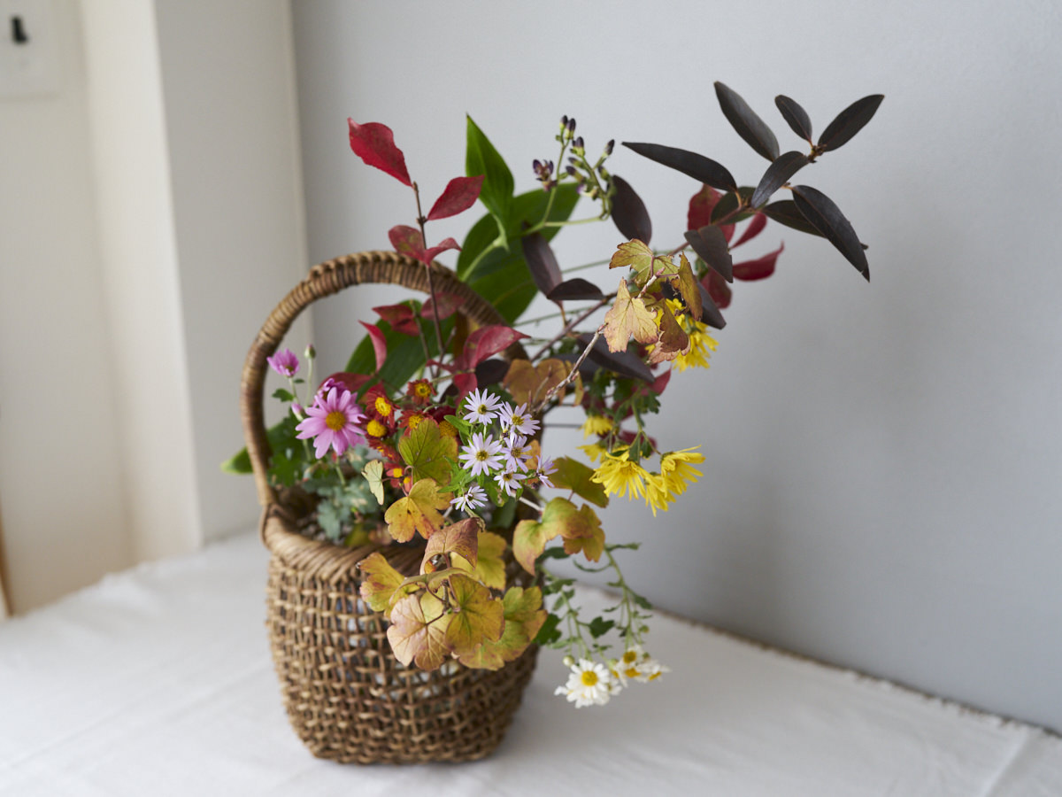 We send out our newsletter, One Basket Letter, a few times each month.メールマガジン “ひとつのかご便り”を月に数回お届けしています